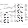 Входящее питание NOVOTECH TRACK 3L 220V правое NV-135049